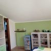 decoratore_carnino_mario_6